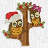 Owls