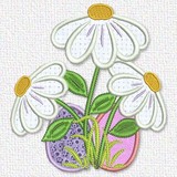 Egg