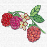 Fruit