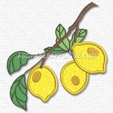 Fruit