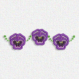 Pansy