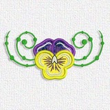 Pansy