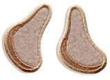Hedgehog paw