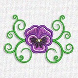 Pansy