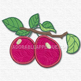 Fruit