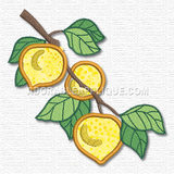 Fruit