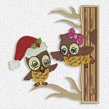 Owls