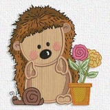 Hedgehog