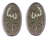 mousepaw