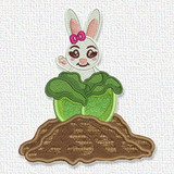 Bunny