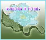 Instruction pictures