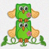 Owls