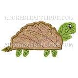 Autumn turtle