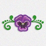 Pansy