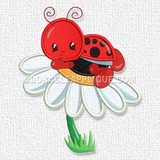 Ladybug