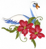 Swan