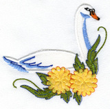 Swan