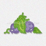 Blueberry