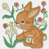 Bunny