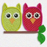Owls