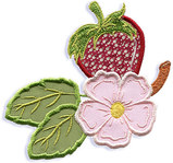 Berries