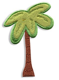 Palm