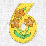 Number 6
