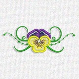 Pansy