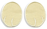 Dog paw