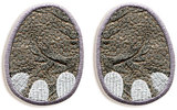 Rhinoceros paw