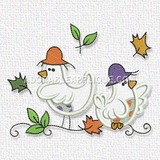 Birds