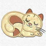 Kitten