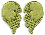birdpaw