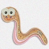 Worm