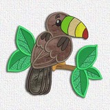Toucan