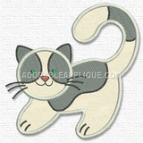 Kitten