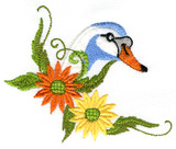 Swan