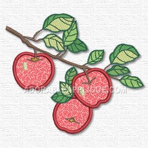 Fruit