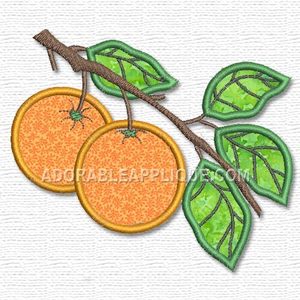 Fruit
