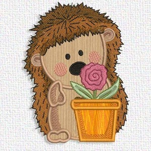 Hedgehog