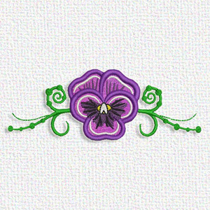 Pansy
