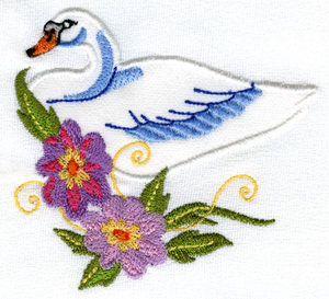 Swan