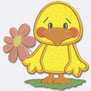 Duck