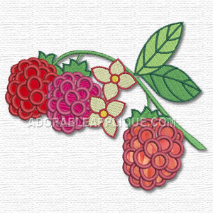 Fruit