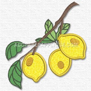 Fruit