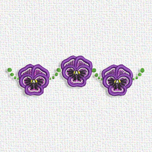 Pansy