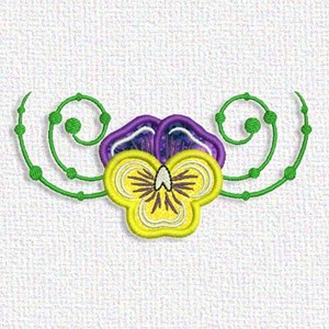 Pansy
