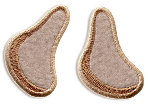 Hedgehog paw
