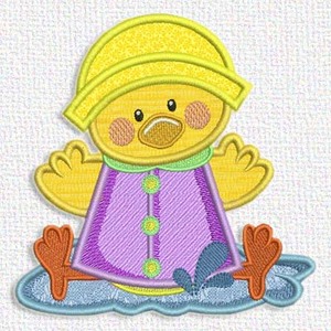 Duck