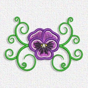 Pansy